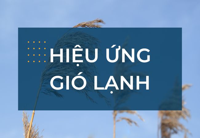 Hiệu ứng gió lạnh