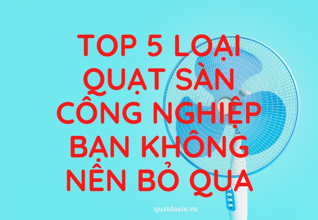 Top 5 loại quạt sàn chất lượng mà bạn không nên bỏ qua