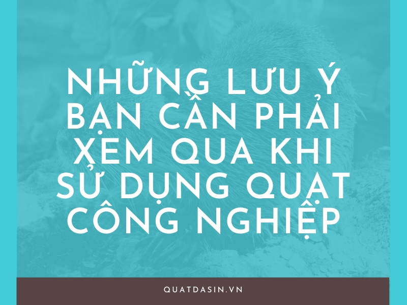 Những lưu ý bạn cần phải xem qua khi sử dụng quạt công nghiệp