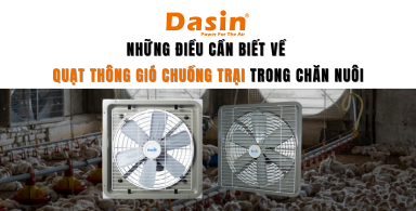 Những Điều Cần Biết Về Quạt Thông Gió Chuồng Trại Trong Chăn Nuôi