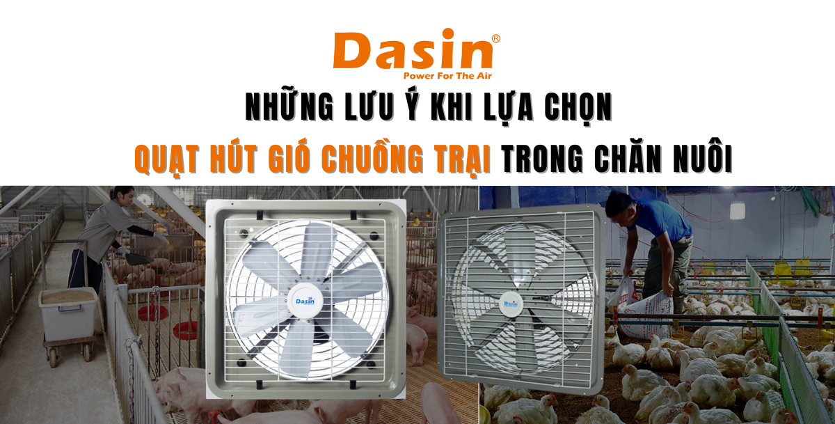 Những Lưu Ý Khi Lựa Chọn Quạt Hút Gió Chuồng Trại Trong Chăn Nuôi