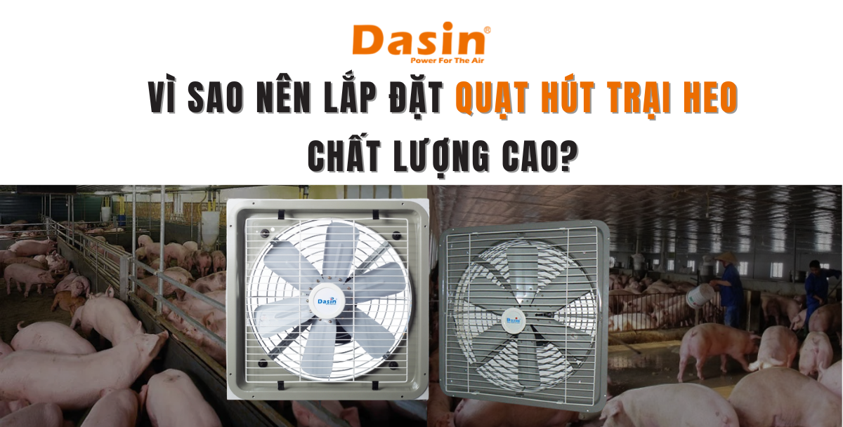 Vì Sao Nên Lắp Đặt Quạt Hút Trại Heo Chất Lượng Cao?