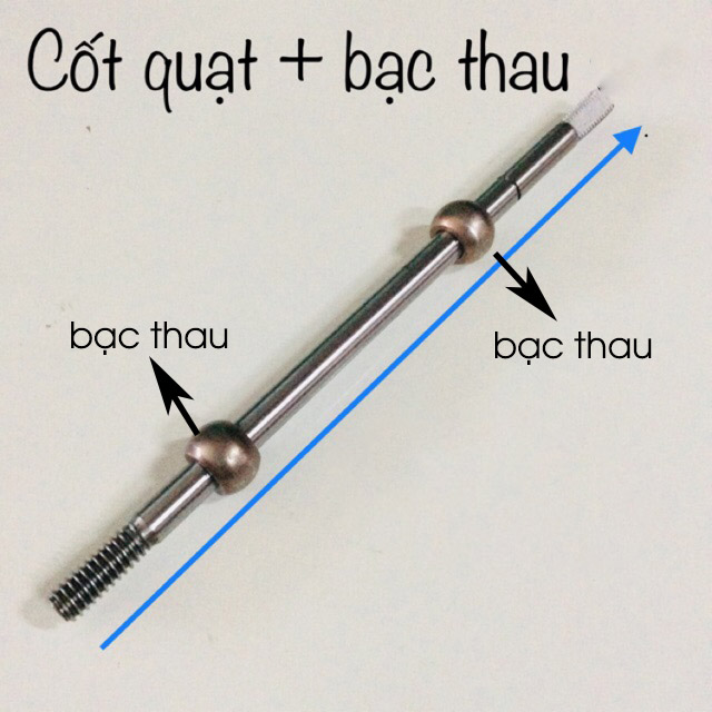 bac-thau